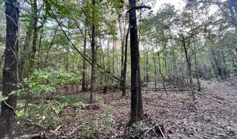 CR 225, Blue Springs, MS 38828