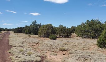 17 County Road 8077, Concho, AZ 85924