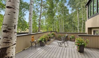 1443 Crystal Lake Rd 3E, Aspen, CO 81611