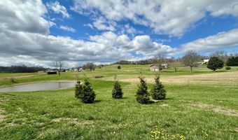 1600 Mary Lamons Rd, Afton, TN 37616