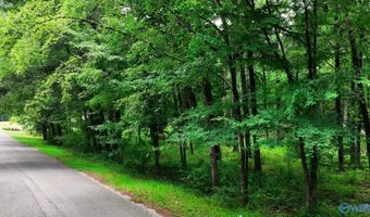 Wilcox Street SE, Attalla, AL 35954