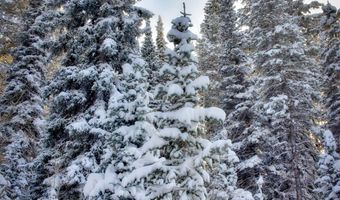 9380 E Kessler View Ln, Brighton, UT 84121