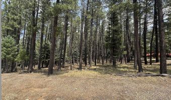 Calle de las Palomas lot 880, Angel Fire, NM 87710