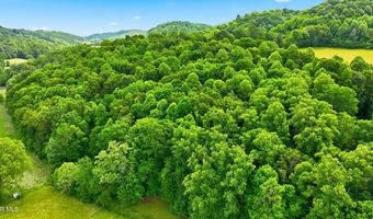 16037 Knights Bridge Rd, Abingdon, VA 24210