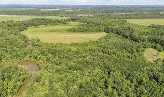22 Hwy, Adamsville, TN 38310
