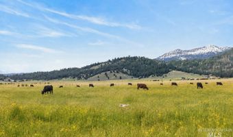 17 Gray Ln, Cascade, ID 83611