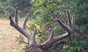 240 Magnolia Ln, Bennington, OK 74723