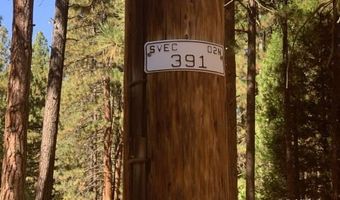 Edgewater Way lot 84, Adin, CA 96006