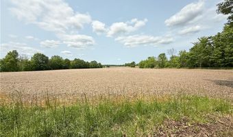 Snode Street NE, Alliance, OH 44601