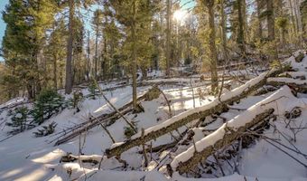 45 And 46 Sacramento Dr, Angel Fire, NM 87710