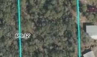 50 Th St, Bell, FL 32619