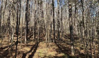 County Road 3782 lot 11, Arley, AL 35541