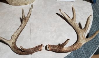 4775 S 50th Rd, Aldrich, MO 65601