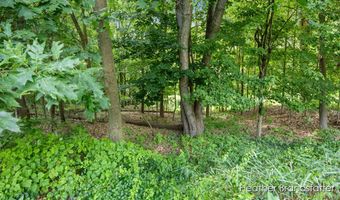 7670 Wood Violet Ct SE, Ada, MI 49301