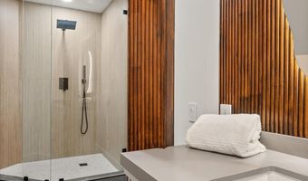 75 Bennett Ct, Aspen, CO 81611