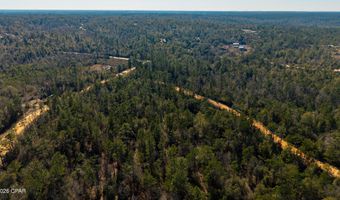 Rossville Avenue, Alford, FL 32420