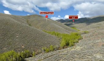 Lees Gulch Rd, Bellevue, ID 83313