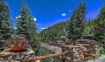 85 REVETT Dr, Breckenridge, CO 80424