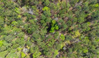 Beardsley Drive lot 58, Bainbridge, GA 39819