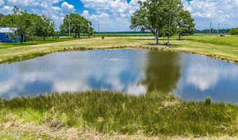 12211 Veterans Memorial Dr, Abbeville, LA 70510