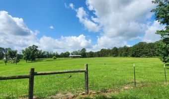 3350 SE Mount Pleasant Ln, Bogue Chitto, MS 39629
