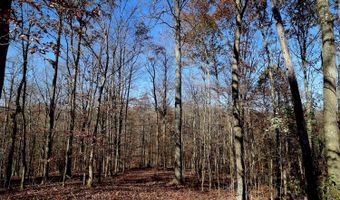 0 State Route 550, Amesville, OH 45711