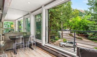 738 S Galena St 1-C, Aspen, CO 81611