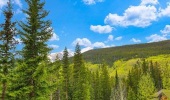 322 Davis Ct, Breckenridge, CO 80424