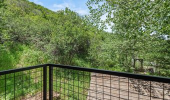 477 Aspen Oak Dr, Aspen, CO 81611