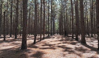 Highway 112, Abbeville, GA 31001