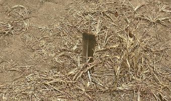 Bolivar Road, Benoit, MS 38725