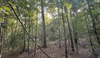 Norman Trail NW, Brookhaven, MS 39601