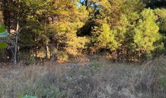 421041 E 1945 Ln, Antlers, OK 74523