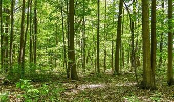 2905 N Lake Pleasant Rd, Arcadia, MI 48412