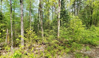 Maple Road lot 3, Atkinson, ME 04426