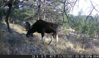 County Road 59, Allenspark, CO 80510