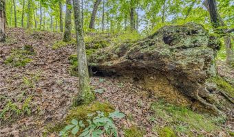 16060 US 278, Beaverton, AL 35544
