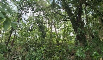 8748 NE JACKSONVILLE Rd, Anthony, FL 32617