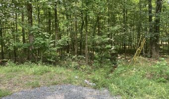 Lot 1069 Iron Gate Drive, Baneberry, TN 37890