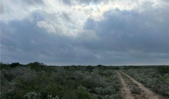 0000 County Road 173, San Diego, TX 78332