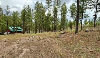 7 Eric Ln, Alpine, AZ 85920
