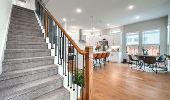 2446 Bainbridge Dr, Allen, TX 75013