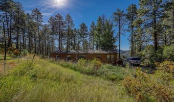 133 Pine Cone, Bayfield, CO 81122