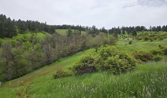 1521 Summitview Dr, Ahsahka, ID 83520