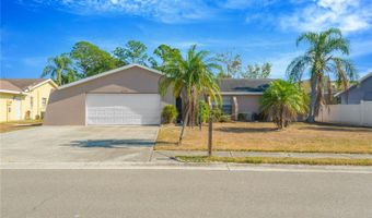 6507 MANILA PALM Way, Apollo Beach, FL 33572