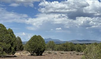 76 N Cattle Dr, Ash Fork, AZ 86320