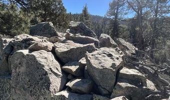 Highway 38, Angelus Oaks, CA 92305