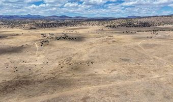 New Mexico 246, Capitan, NM 88316