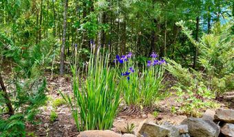 700 BATTLE MOUNTAIN Rd, Amissville, VA 20106