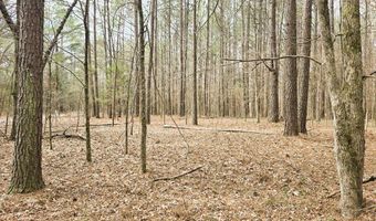 Zig Zag, Big Sandy, TN 38221